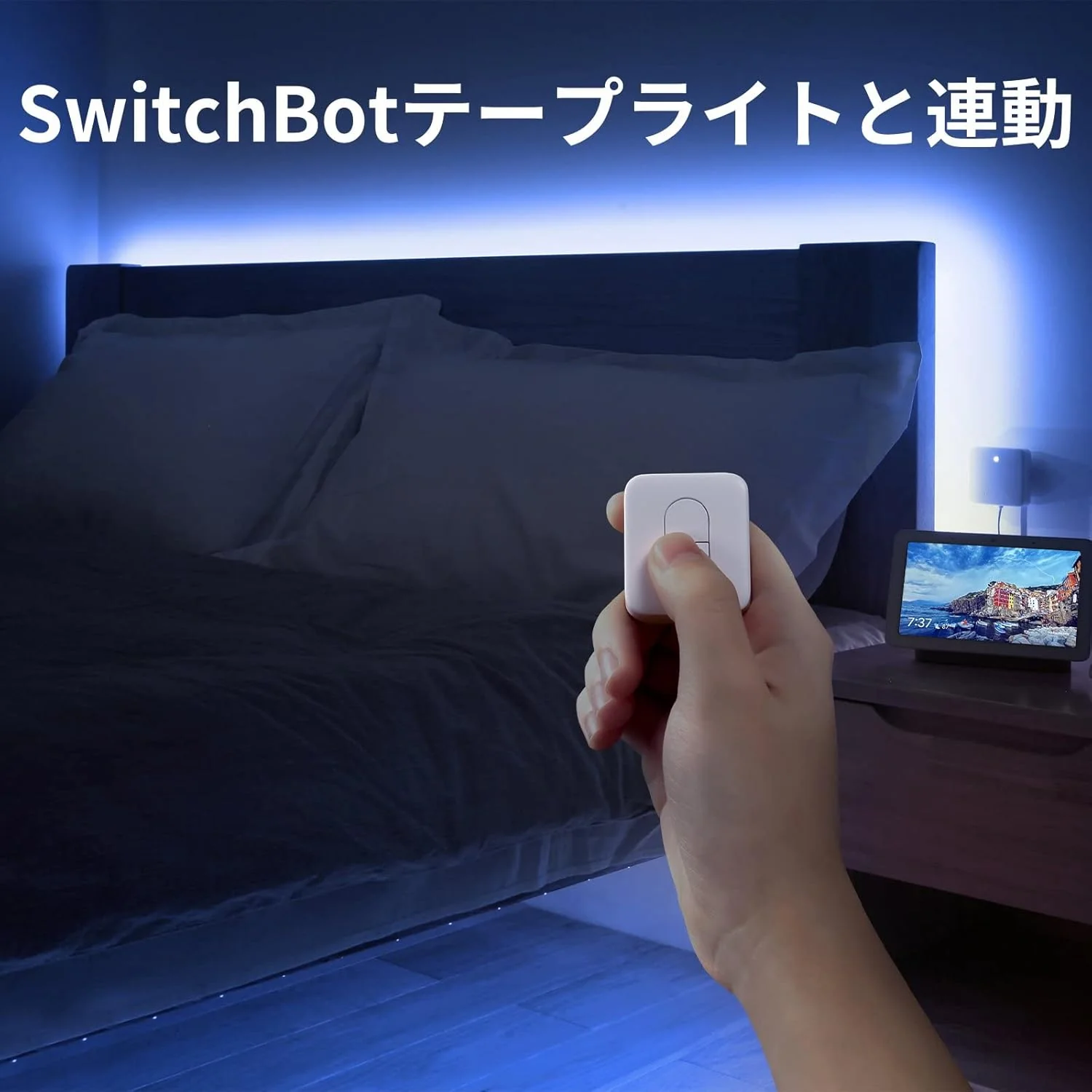 Thumbnail 12